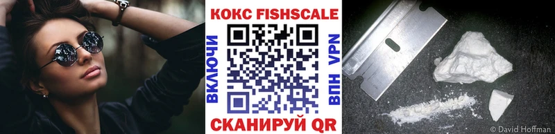 Купить закладки  Ессентукская  COCAIN FishScale 